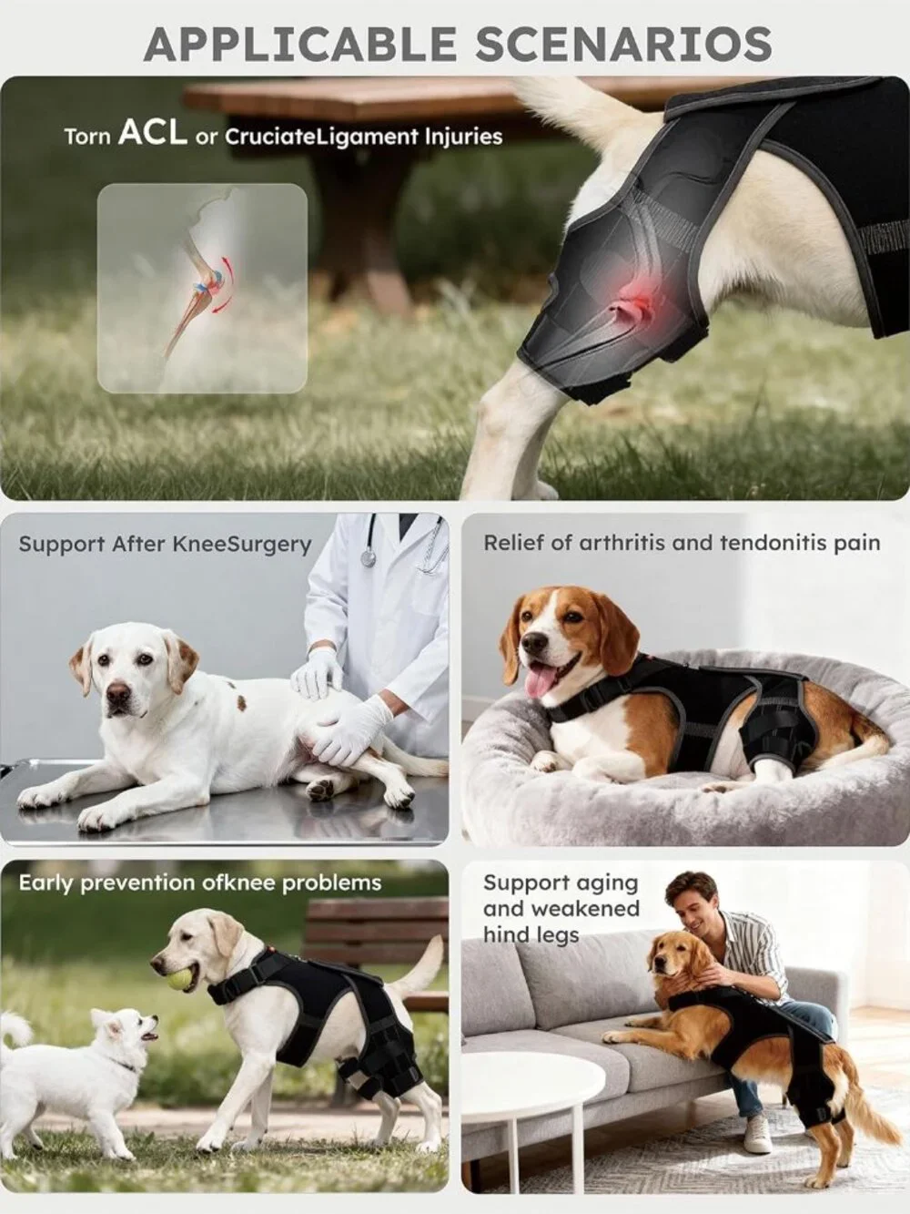 Dog Knee Brace for Torn ACL/CCL Hind Leg